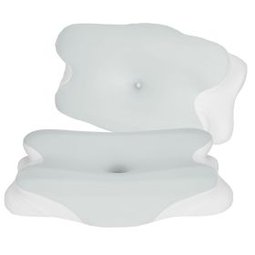 2 Pack Orthopedic Memory Foam Pillows with Cooling Case